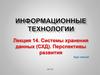 Системы хранения данных (СХД). Перспективы развития. Лекция 14