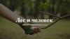 Лес и человек  (тема 15)
