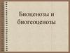 Биоценозы и биогеоценозы