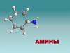 Амины. Номенклатура аминов