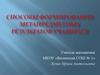 Способы формирования метапредметных результатов учащихся