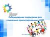 Субсидиарная поддержка для социально ориентированных НКО