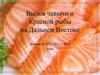 Вылов чавычи и Красной рыб на Дальнем Востоке