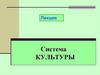 Система культуры