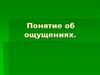 Понятие об ощущениях