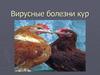 Вирусные болезни кур