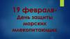19 февраля - День защиты морских млекопитающих