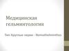 Медицинская гельминтология. Тип Круглые черви - Nemathelminthes