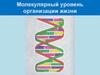 Молекулярный уровень организации жизни