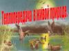 Теплопередача в живой природе