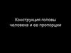 Конструкция головы человека и ее пропорции. Форма головы