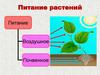 Питание растений