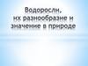 Водоросли, их строение и значение в природе