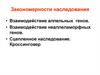 Закономерности наследования