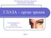 Глаза - орган зрения. Зачем человеку глаза?