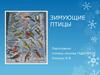 Зимующие птицы