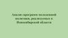 Анализ программ молодежной политики, реализуемых в Новосибирской области