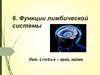 Функции лимбической системы. Тема 6