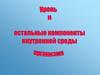 Кровь и остальные компоненты внутренней среды организма