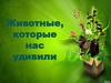 Животные, которые нас удивили
