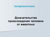 Антропогенез. Доказательства происхождения человека от животных