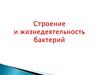 Строение и жизнедеятельность бактерий
