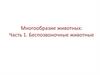 Многообразие животных. Часть 1. Беспозвоночные животные