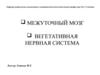 Межуточный мозг, вегетативная нервная система. Строение, симптомы поражения и методы исследования