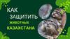 Как защитить животных Казахстана