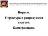 Вирусы. Структура и репродукция вирусов. Бактериофаги