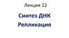 Синтез ДНК. Лекция 12