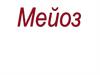 Мейоз - особый вид деления клетки, при котором число хромосом в дочерних клетках становится гаплоидным