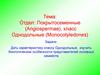 Отдел: Покрытосеменные. Однодольные