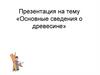 Основные сведения о древесине