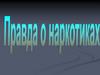 Правда о наркотиках