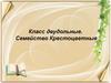Класс Двудольные. Семейство Крестоцветные