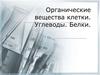 Органические вещества клетки. Углеводы. Белки