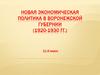 Новая экономическая политика в Воронежской губернии (1920 - 1930 гг.)