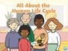 All About the Human Life Cycle