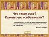 Что такое эссе? Каковы его особенности?
