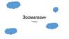 Зоомагазин. Товары
