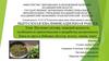 Изучение состава, пищевой ценности, особенности приготовления и разработка ассортимента блюд из круп и бобовых