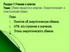Обмен веществ и энергии. Энергетический и пластический обмен