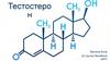 Тестостерон. Избыток тестостерона у женщин