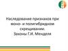 Наследование признаков при моно - и полигибридном скрещивании