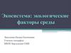Экосистема: экологические факторы среды