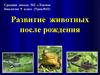 Развитие животных после рождения. Урок №11. Биология. 9 класс