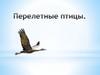 Перелетные птицы
