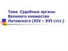 Судебные органы Великого княжества Литовского (XIV – XVI). Тема 5.1