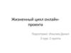 Жизненный цикл онлайн-проекта